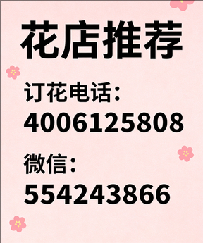 丽江古城区花店哪家好