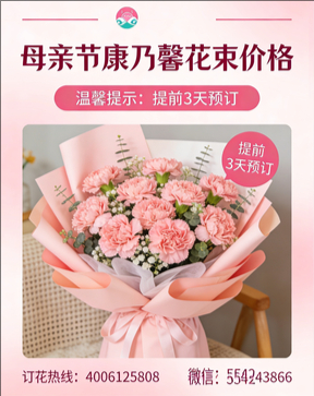 丽江古城区花店母亲节康乃馨花束