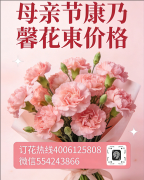 丽江古城区花店母亲节康乃馨花束